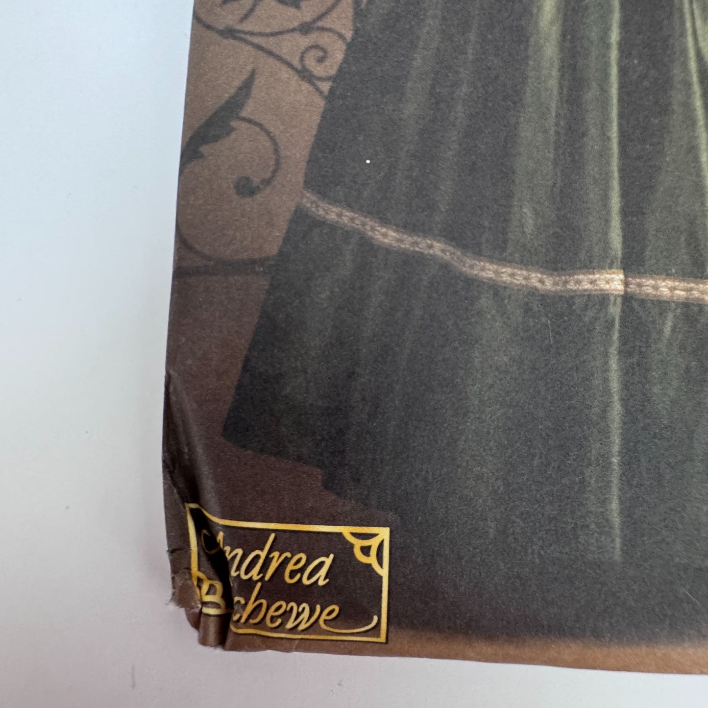 Simplicity Sewing Pattern 3809 Skirt Corset Renaissance Celtic Costume 10-14 UC Andrea Schewe