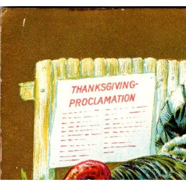 1910 Embossed Thanksgiving Postcard NJ Postmark Divided Back Turkey Proclamation