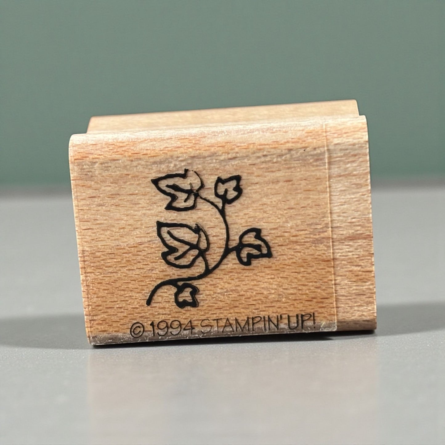 Stampin Up Rubber Stamp With Ivy Leaf  Leaves Nature Card Making Small Crafting