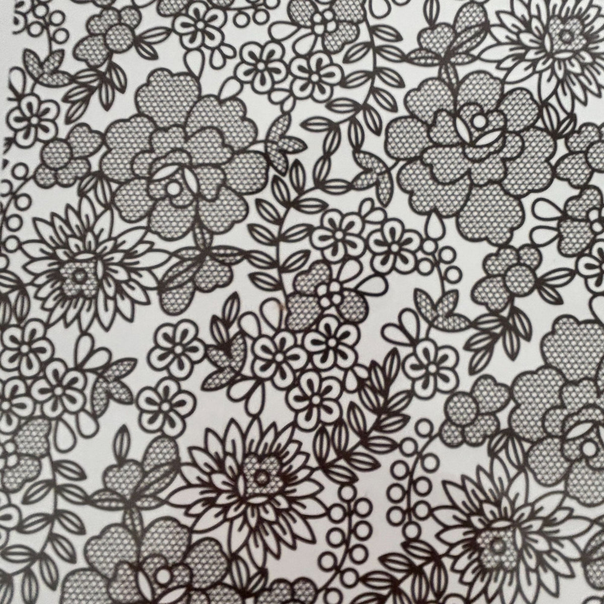 Stampin Up Clear Mount Rubber Stamps Set Something Lacy Floral Background Flower