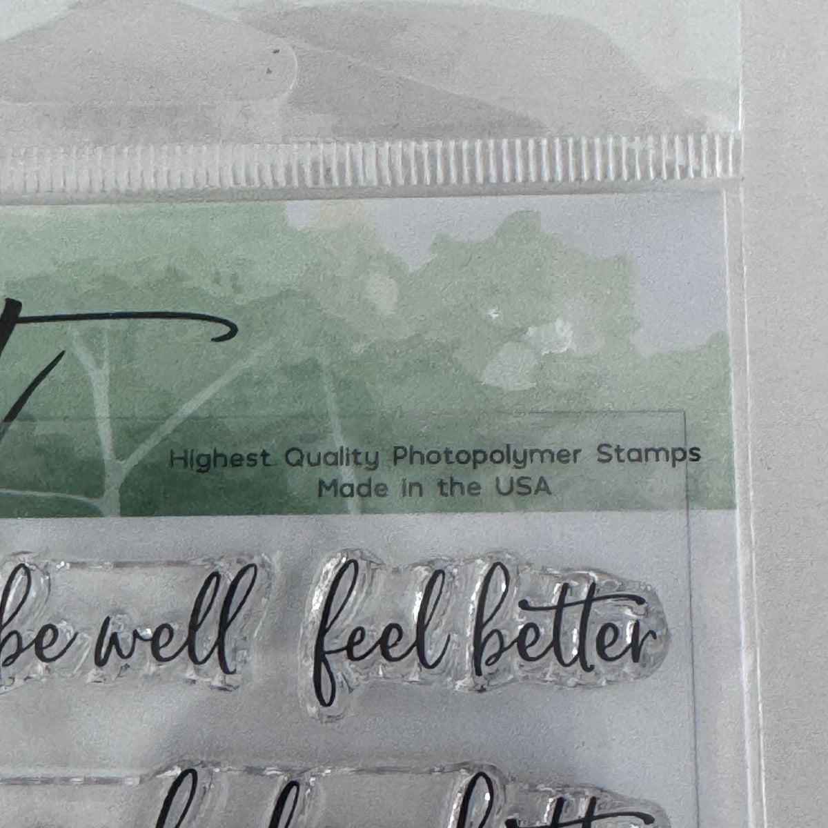 Picket Fence Studios Photopolymer Stamp Set Ways To Say Get Well Soon Cardmaking Words