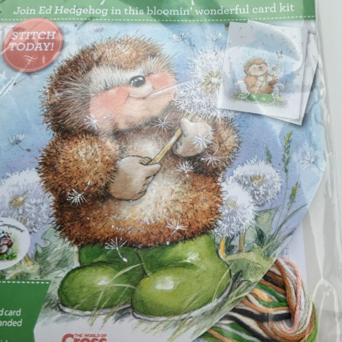 The World of Cross Stitching Hedgehog Country Companions Cross Stitch Card Kit