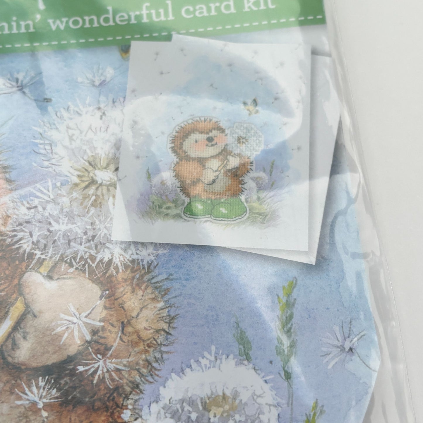 The World of Cross Stitching Hedgehog Country Companions Cross Stitch Card Kit