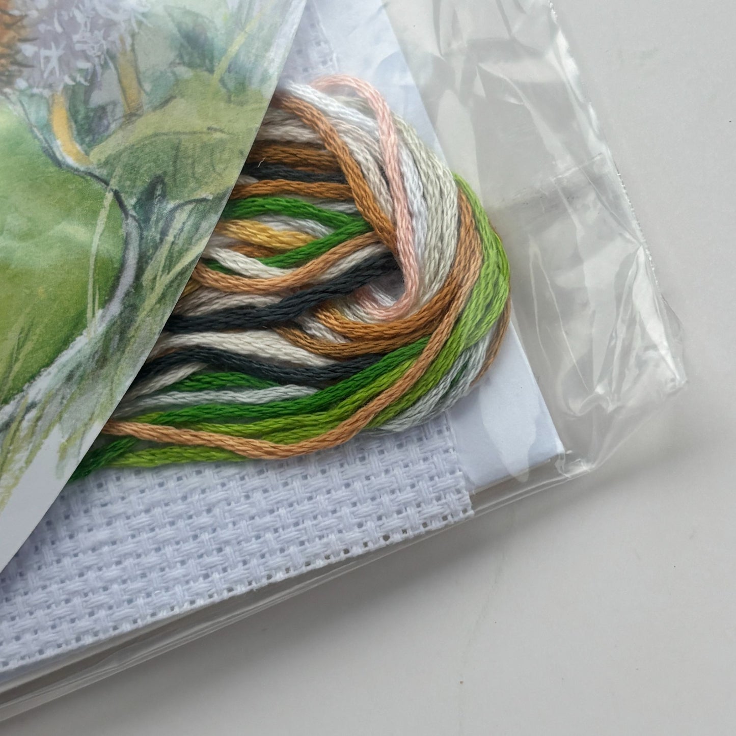 The World of Cross Stitching Hedgehog Country Companions Cross Stitch Card Kit