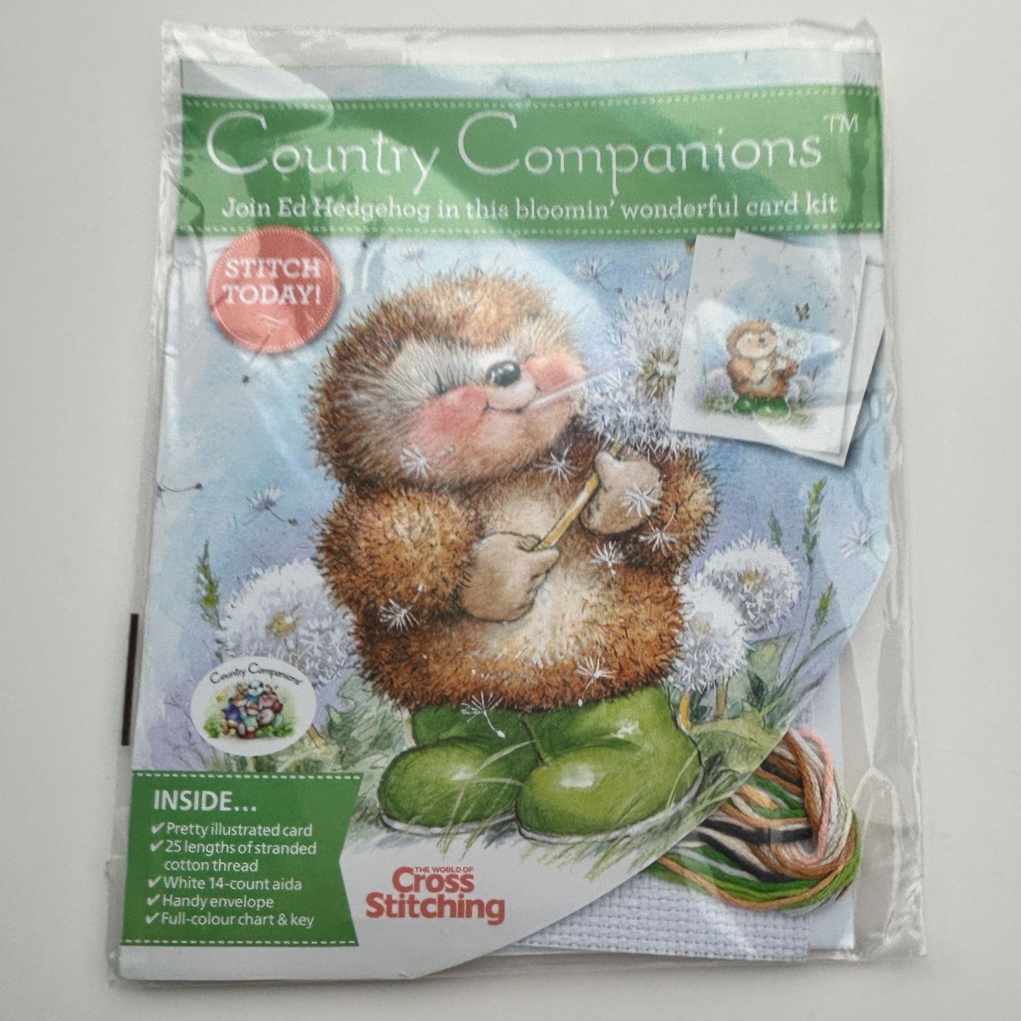 The World of Cross Stitching Hedgehog Country Companions Cross Stitch Card Kit