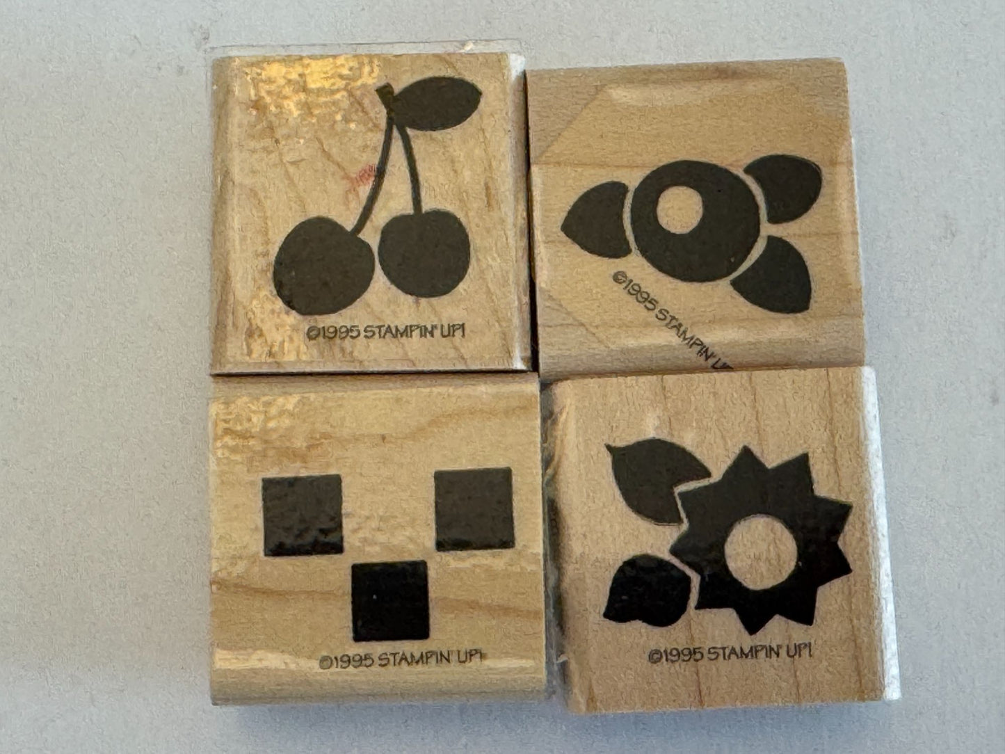 Stampin Up Rubber Stamp Set Cherries Checks Posies Floral Cherry Flower Craft