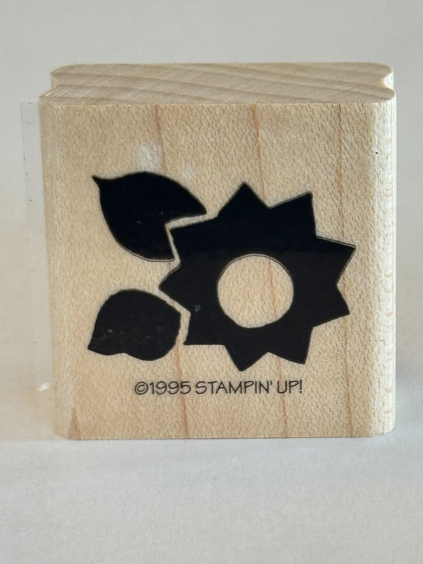 Stampin Up Rubber Stamp Set Cherries Checks Posies Floral Cherry Flower Craft