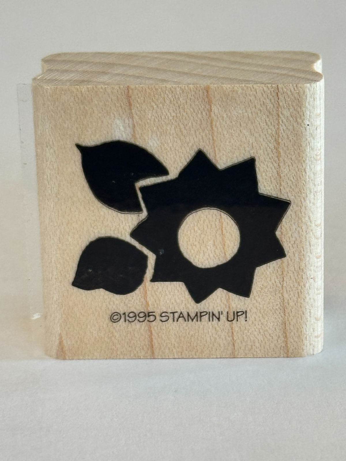Stampin Up Rubber Stamp Set Cherries Checks Posies Floral Cherry Flower Craft