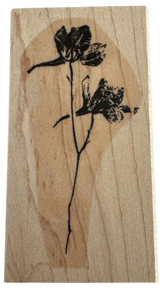 Stampin Up Rubber Stamp Iris Watercolor Flower Sketch Card Making Vertical Craft