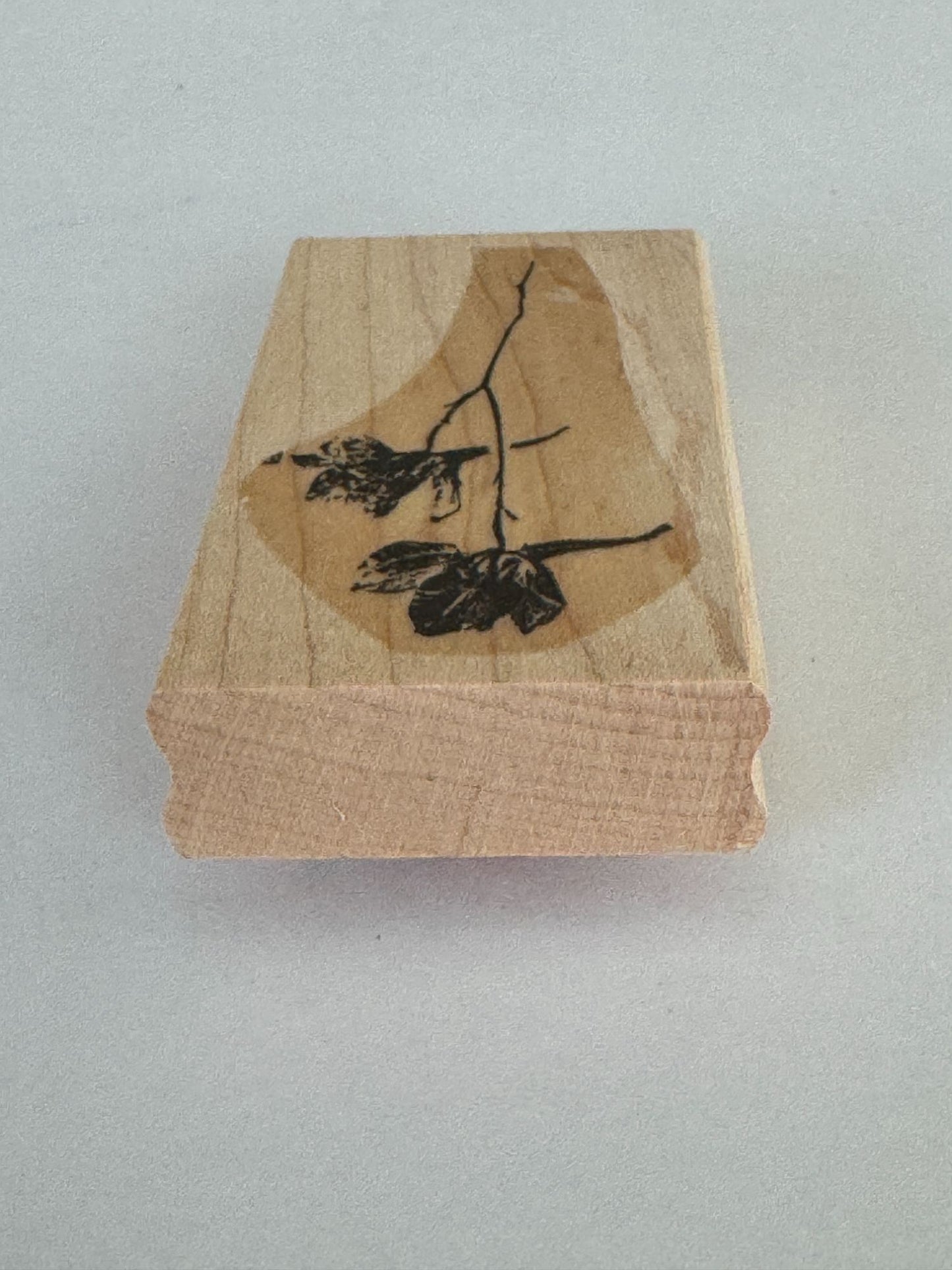 Stampin Up Rubber Stamp Iris Watercolor Flower Sketch Card Making Vertical Craft