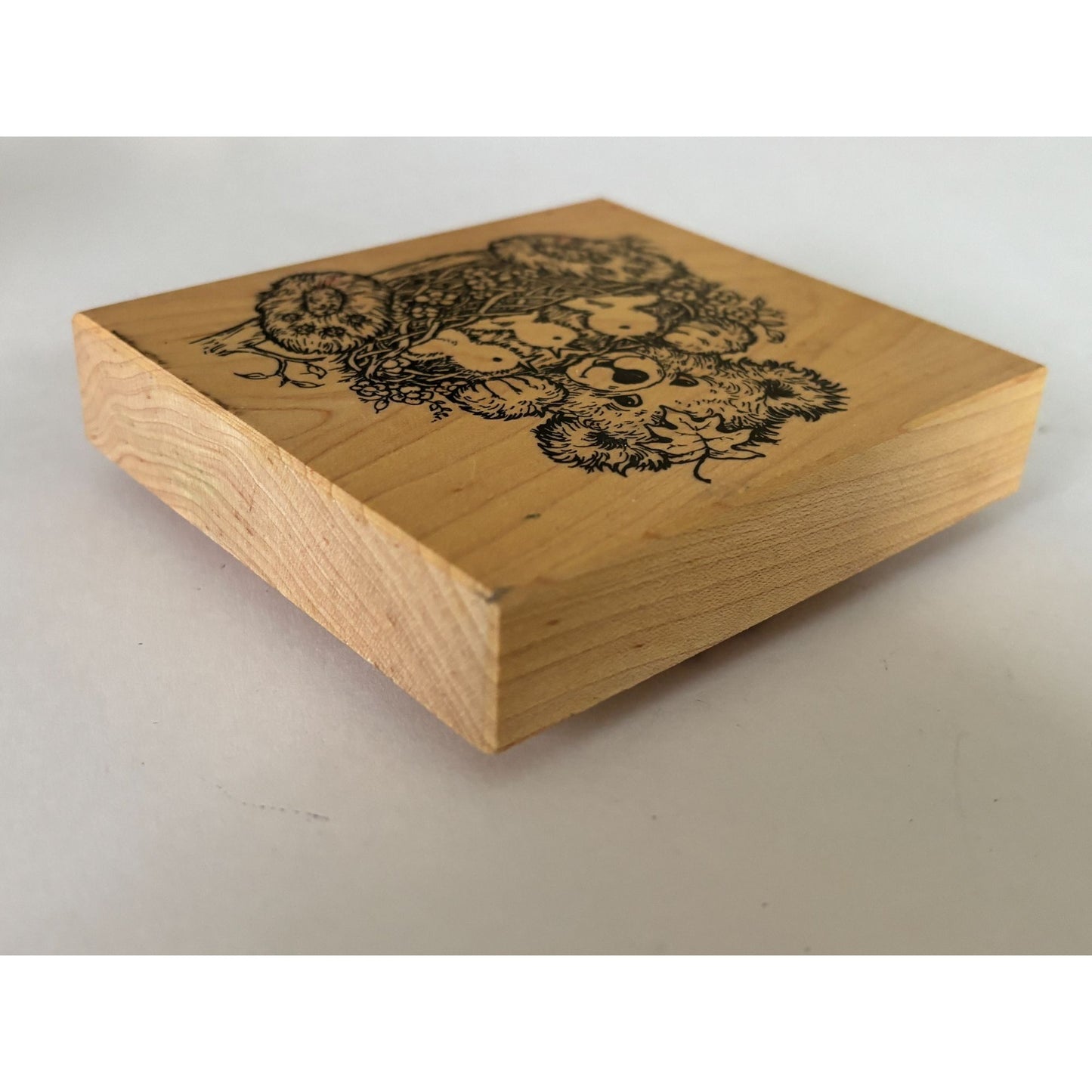 PSX Rubber Stamp Easter Teddy Bear Chicks Bird Nest Fuzzy Bear Cardmaking Craft