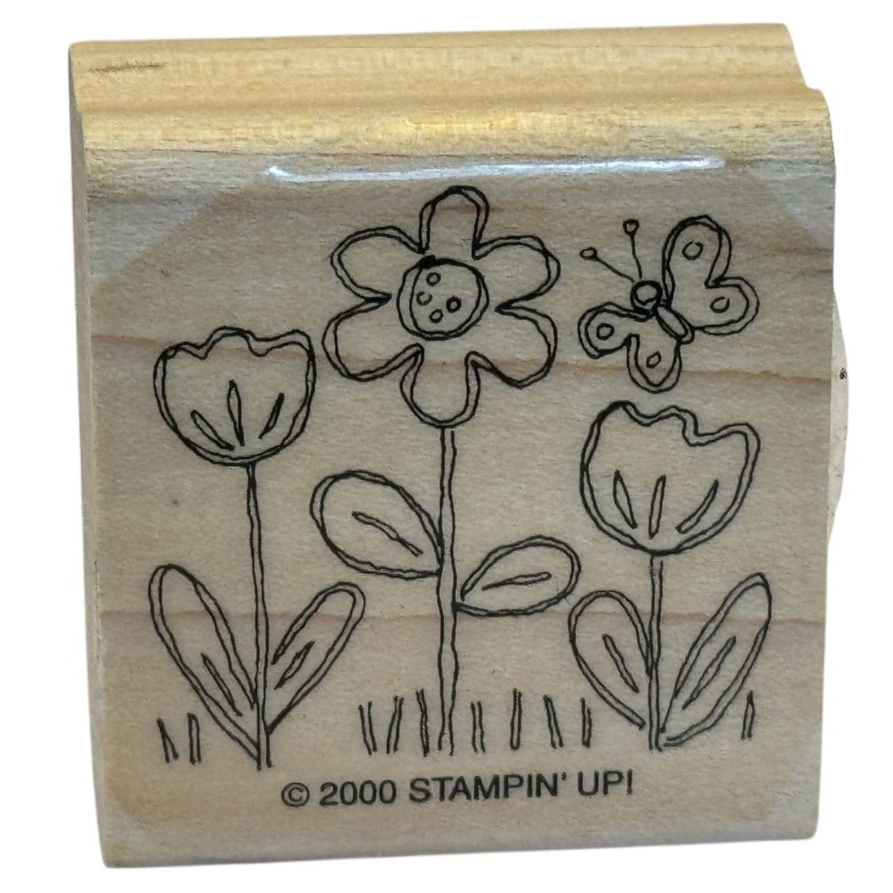 Stampin Up Rubber Stamp Flowers Butterfly Garden Spring Card Making