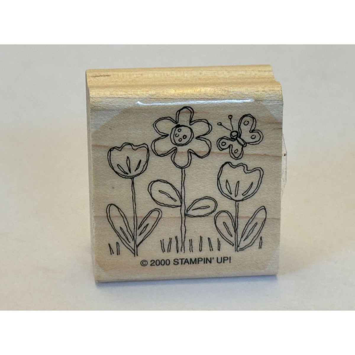 Stampin Up Rubber Stamp Flowers Butterfly Garden Spring Card Making