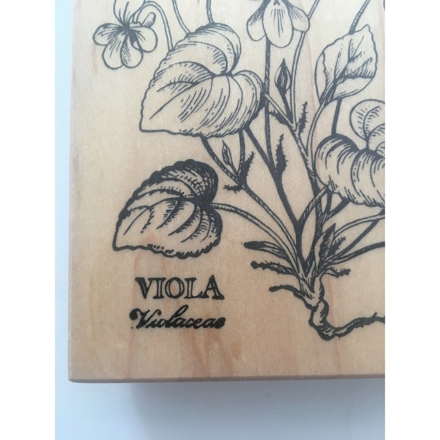 PSX Rubber Stamp Botanical Flowers Viola Garden Pansy Nature Card Making K037