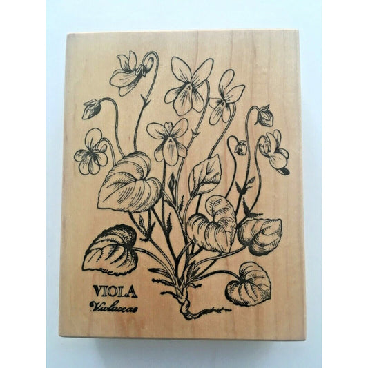 PSX Rubber Stamp Botanical Flowers Viola Garden Pansy Nature Card Making K037