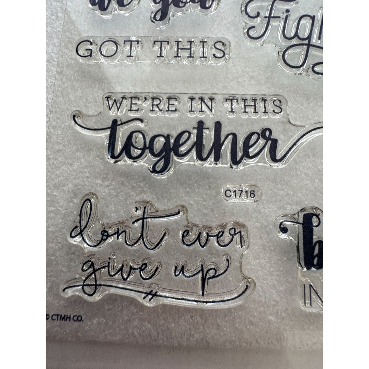 CTMH My Acrylix Acrylic Stamp Set Stronger Together Inspirational Words Support