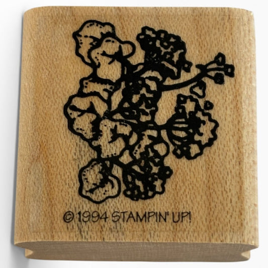 Stampin Up Rubber Stamp Flowers Geraniums Floral Spring Garden Mums Card Making