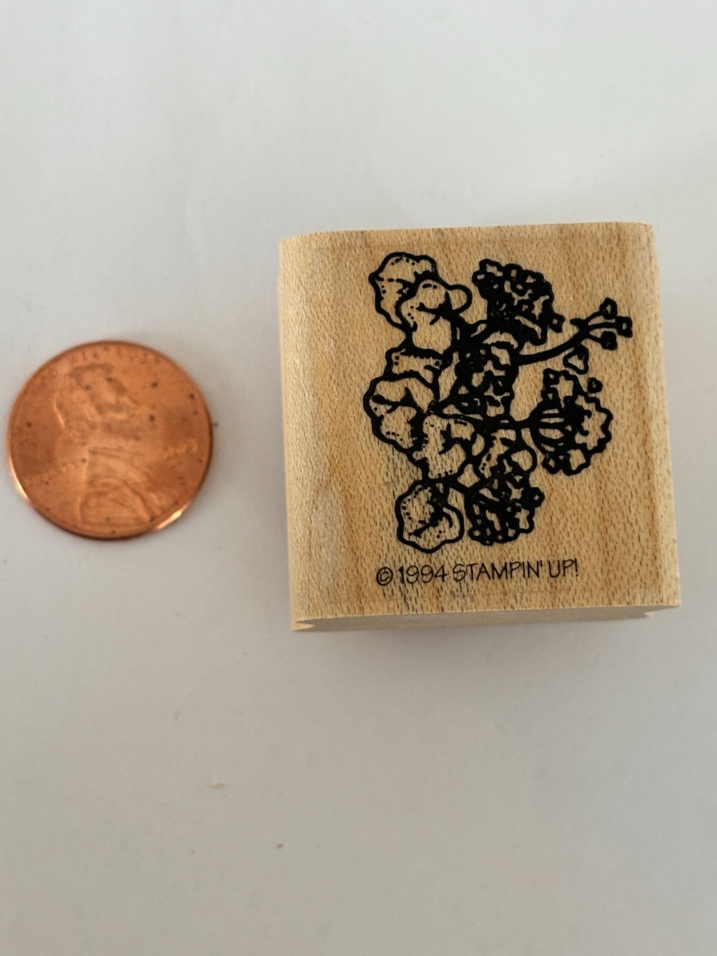 Stampin Up Rubber Stamp Flowers Geraniums Floral Spring Garden Mums Card Making