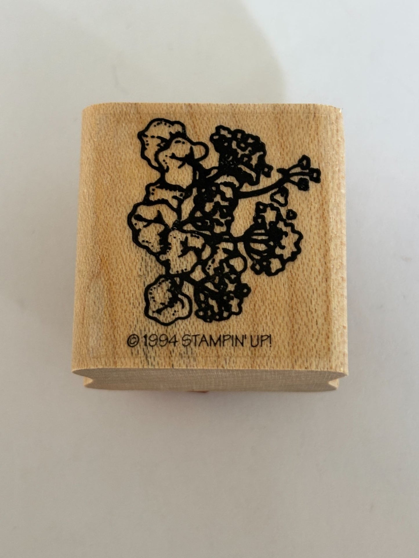 Stampin Up Rubber Stamp Flowers Geraniums Floral Spring Garden Mums Card Making