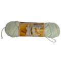 Caron Honeyspun Yarn Pastels Variegated Soft Acrylic Vintage Baby Crochet Knitting Skein
