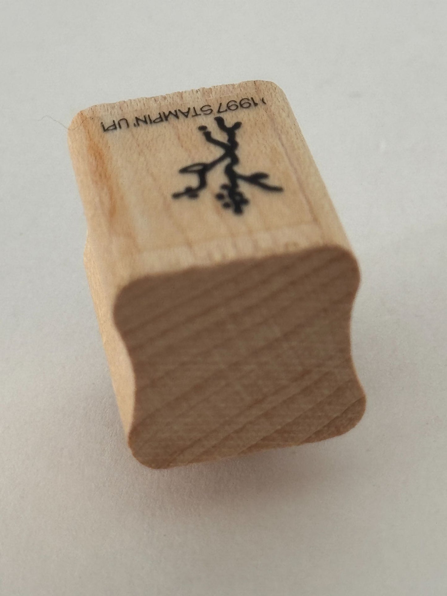 Stampin Up Rubber Stamp Tiny Twig Branch Plant Nature Outdoors Scene Maker Wood