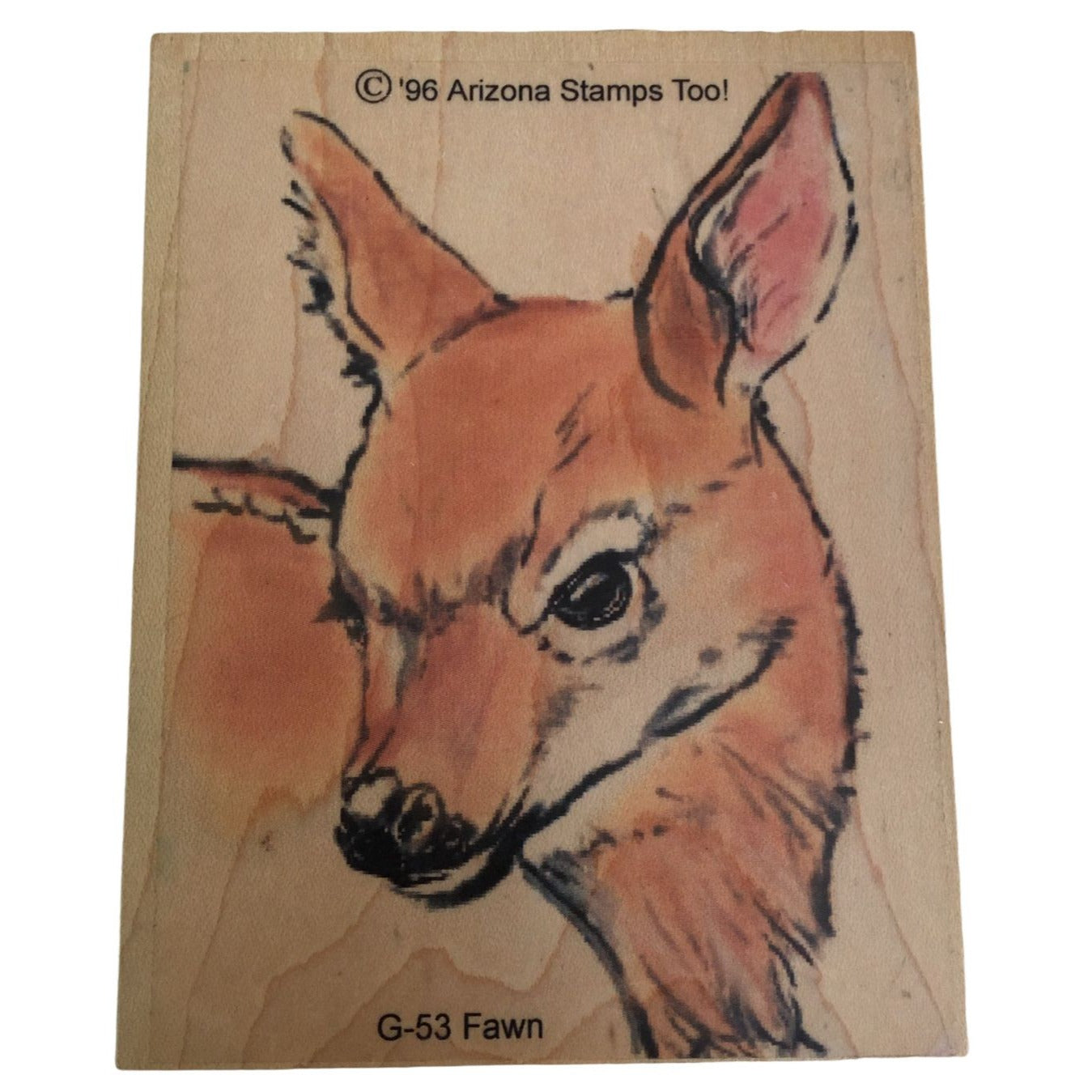 Arizona Stamps Too Rubber Stamp Fawn Baby Animal Face Forest Nature Card Making