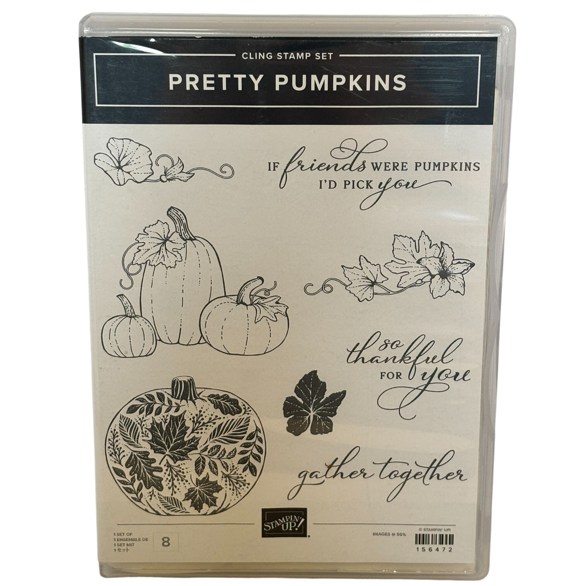 Stampin Up Cling Stamp Set Pretty Pumpkins Detailed Pumpkin Dies Thanksgiving Fall Cardmaking Friendship