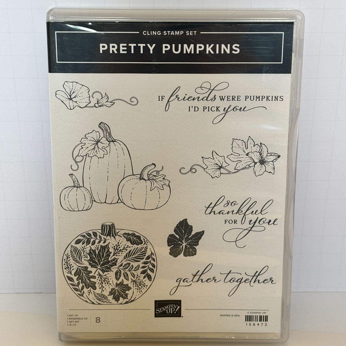 Stampin Up Cling Stamp Set Pretty Pumpkins Detailed Pumpkin Dies Thanksgiving Fall Cardmaking Friendship