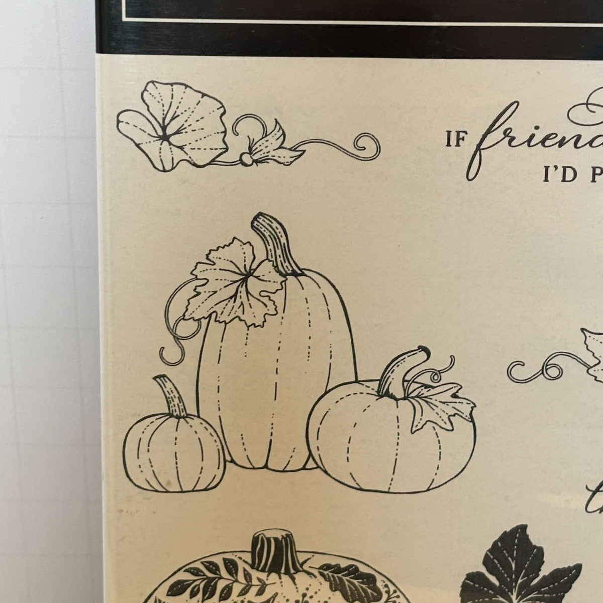 Stampin Up Cling Stamp Set Pretty Pumpkins Detailed Pumpkin Dies Thanksgiving Fall Cardmaking Friendship
