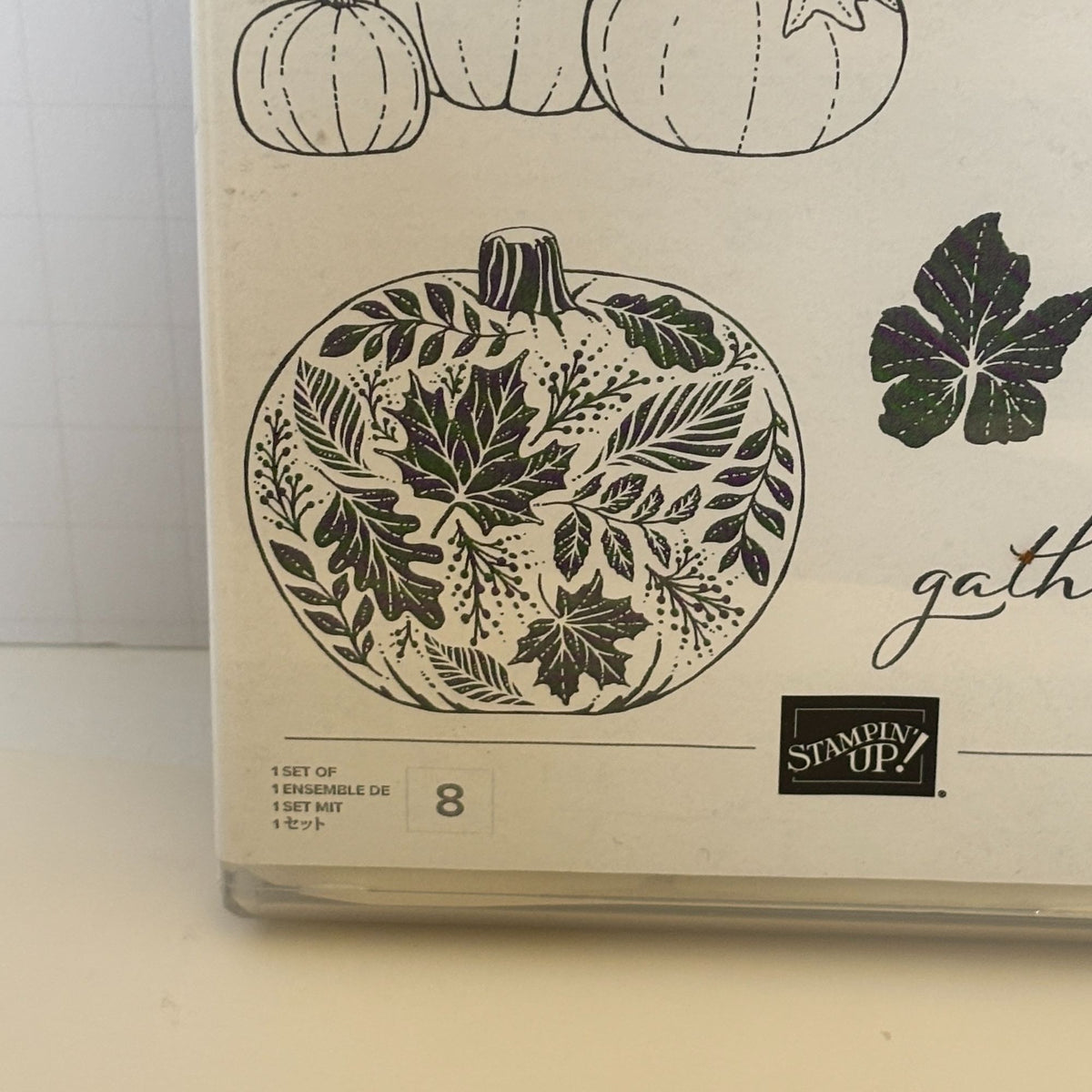 Stampin Up Cling Stamp Set Pretty Pumpkins Detailed Pumpkin Dies Thanksgiving Fall Cardmaking Friendship