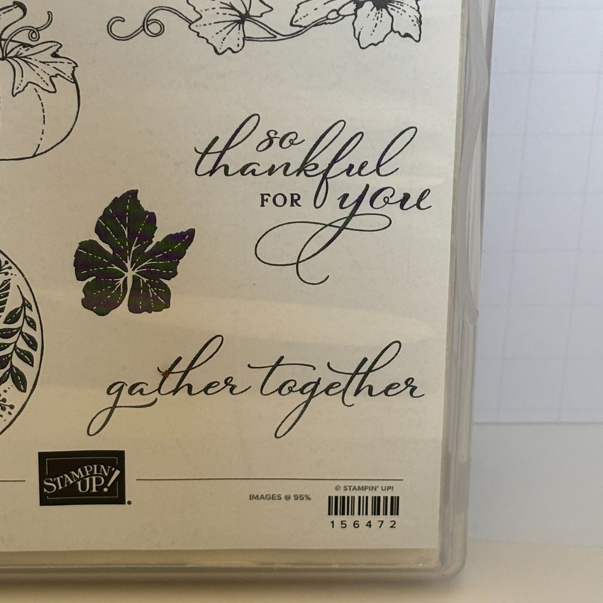 Stampin Up Cling Stamp Set Pretty Pumpkins Detailed Pumpkin Dies Thanksgiving Fall Cardmaking Friendship