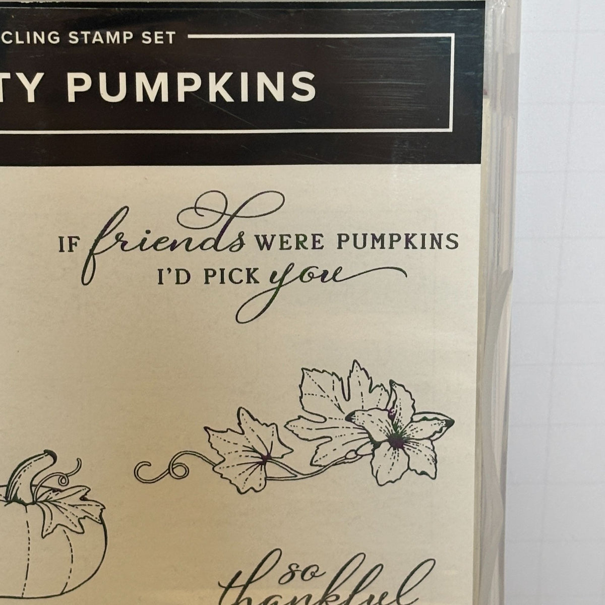 Stampin Up Cling Stamp Set Pretty Pumpkins Detailed Pumpkin Dies Thanksgiving Fall Cardmaking Friendship