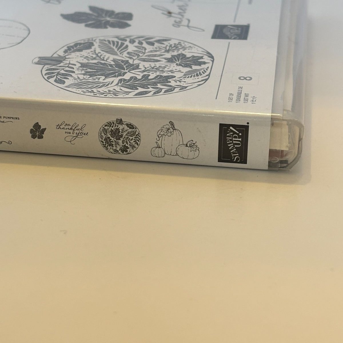 Stampin Up Cling Stamp Set Pretty Pumpkins Detailed Pumpkin Dies Thanksgiving Fall Cardmaking Friendship