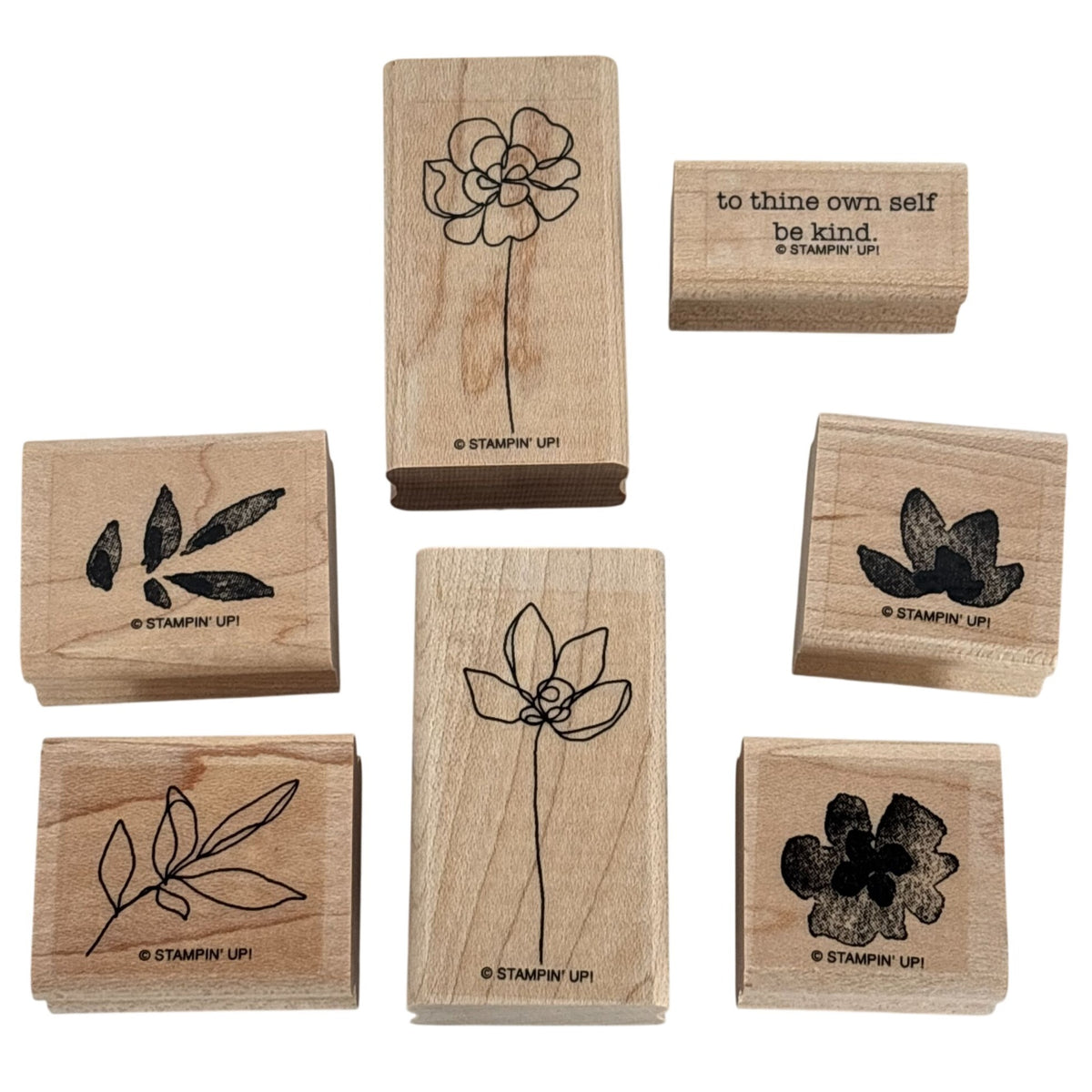 Stampin Up Rubber Stamps Set Botanical Blooms Two-Step Spring Flower Garden Leaf Friendship Cardmaking
