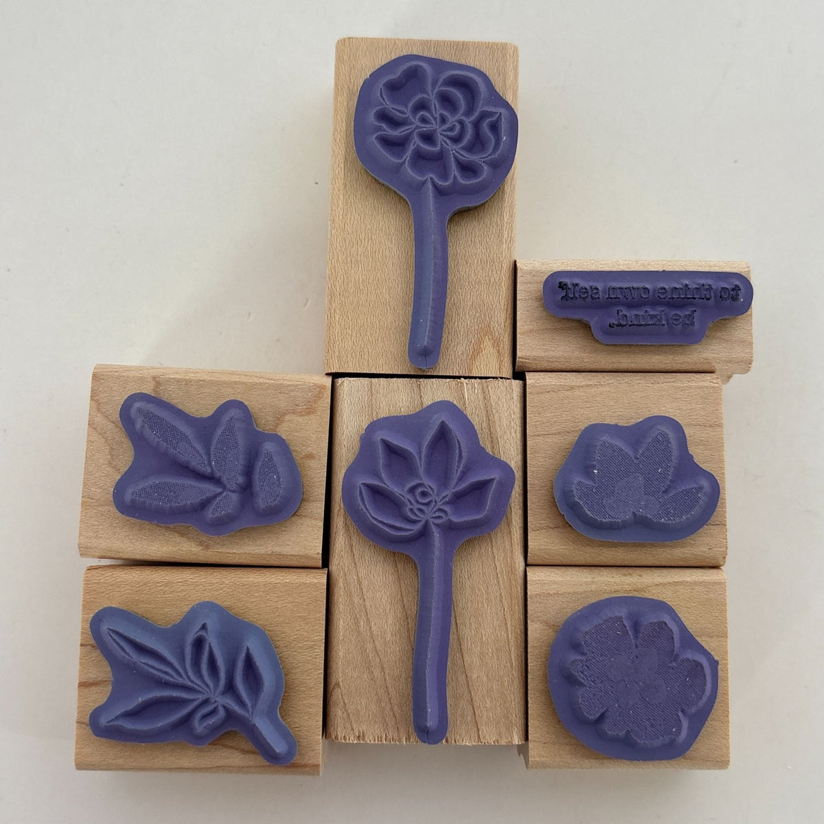 Stampin Up Rubber Stamps Set Botanical Blooms Two-Step Spring Flower Garden Leaf Friendship Cardmaking