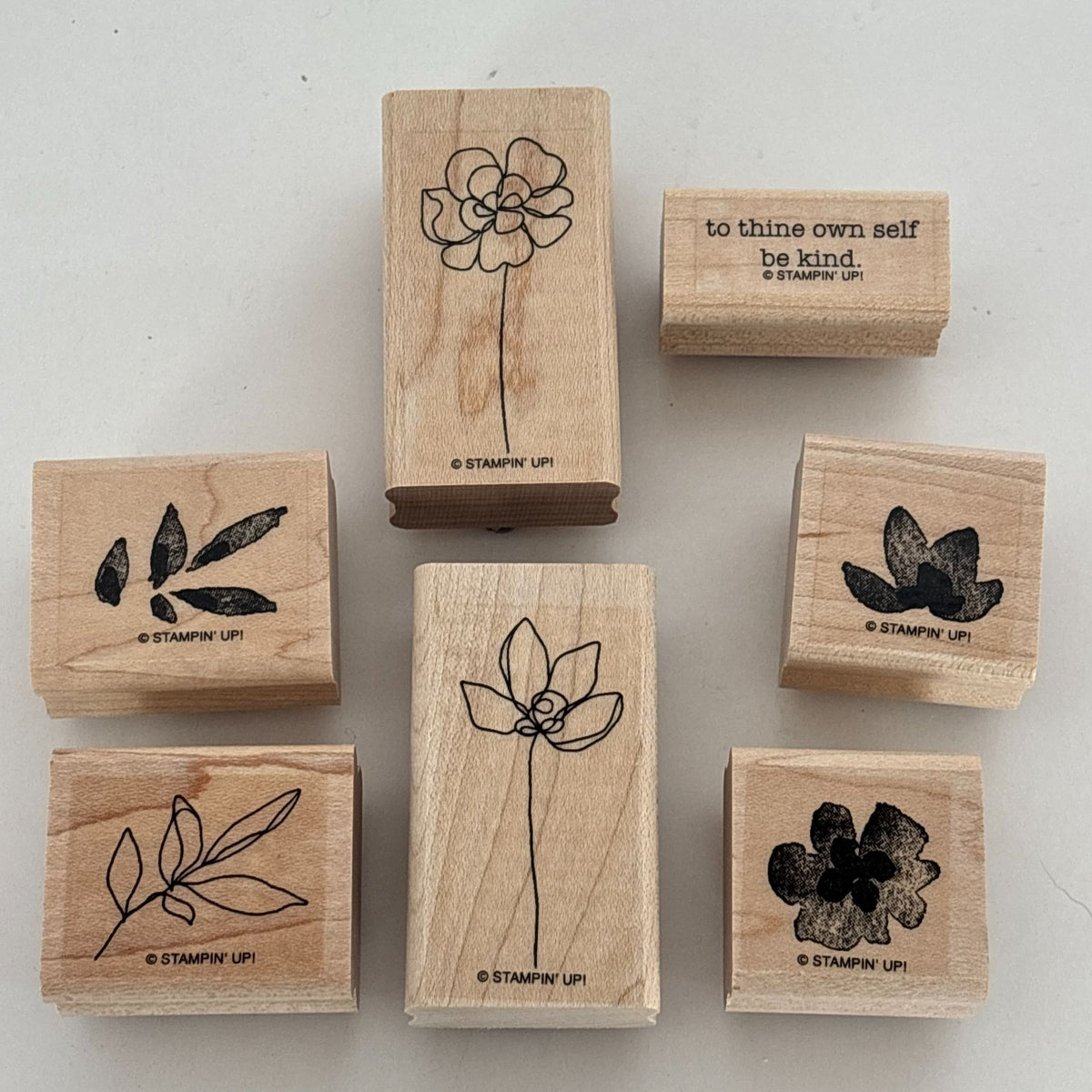 Stampin Up Rubber Stamps Set Botanical Blooms Two-Step Spring Flower Garden Leaf Friendship Cardmaking