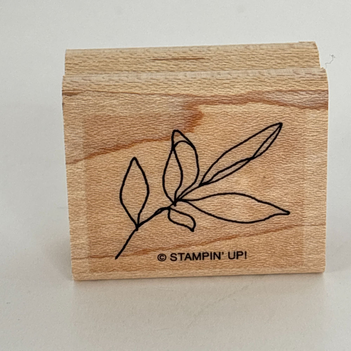 Stampin Up Rubber Stamps Set Botanical Blooms Two-Step Spring Flower Garden Leaf Friendship Cardmaking