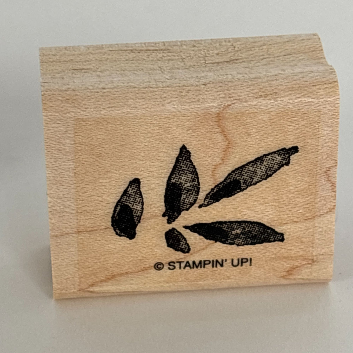 Stampin Up Rubber Stamps Set Botanical Blooms Two-Step Spring Flower Garden Leaf Friendship Cardmaking