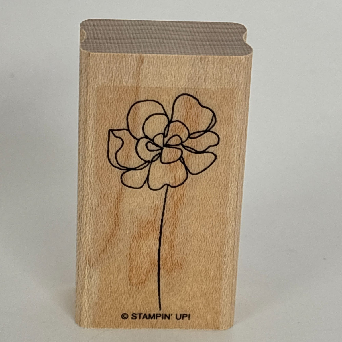 Stampin Up Rubber Stamps Set Botanical Blooms Two-Step Spring Flower Garden Leaf Friendship Cardmaking