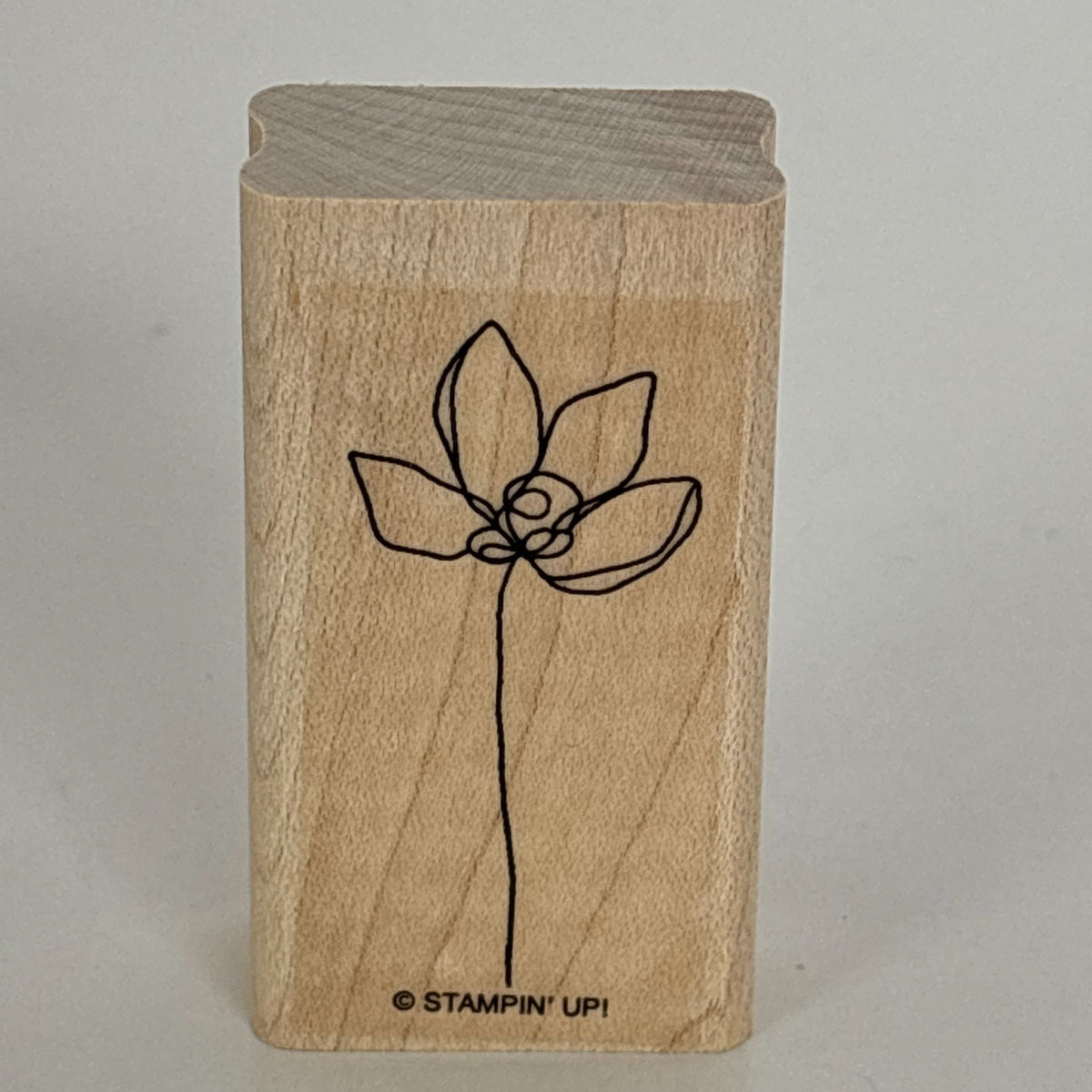 Stampin Up Rubber Stamps Set Botanical Blooms Two-Step Spring Flower Garden Leaf Friendship Cardmaking