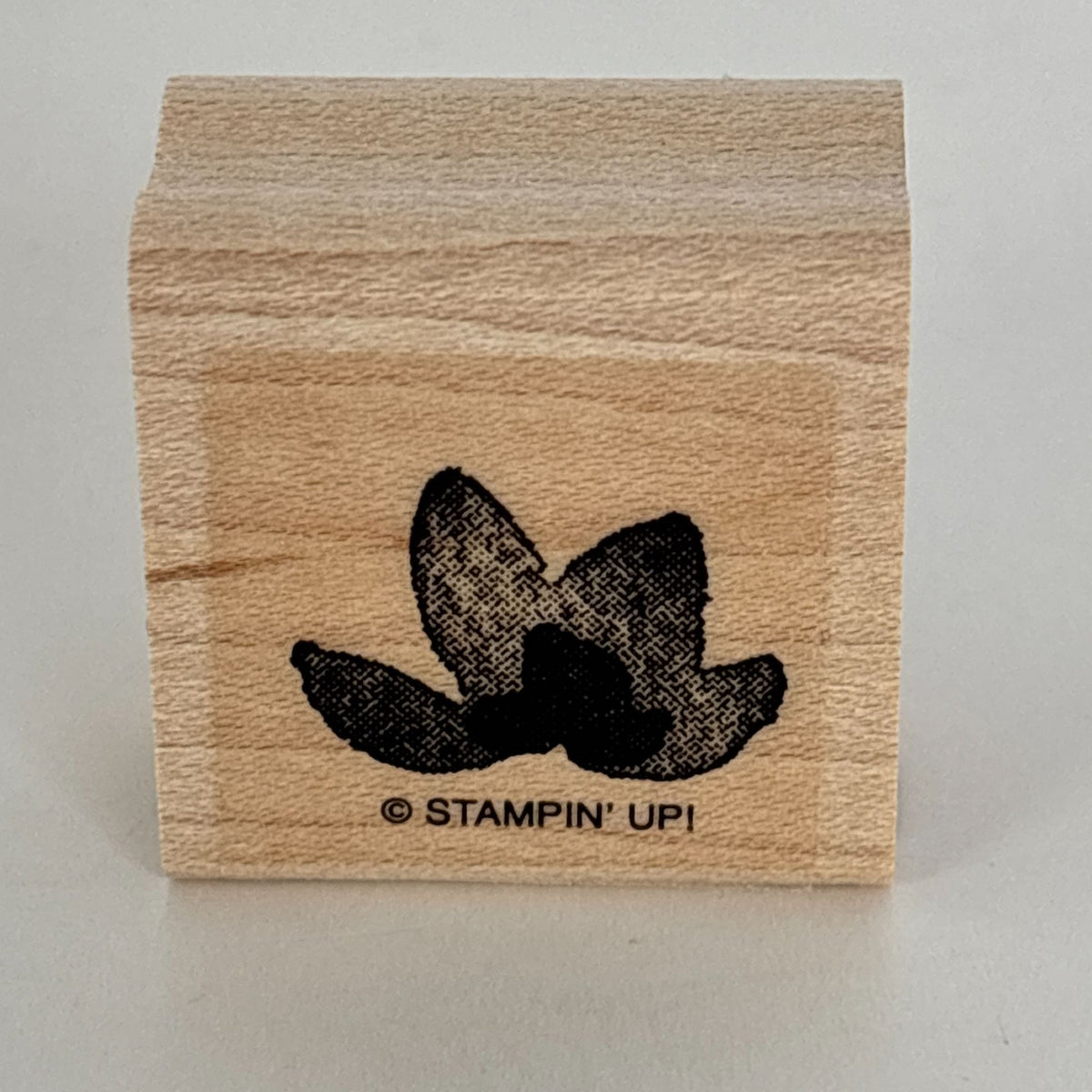 Stampin Up Rubber Stamps Set Botanical Blooms Two-Step Spring Flower Garden Leaf Friendship Cardmaking