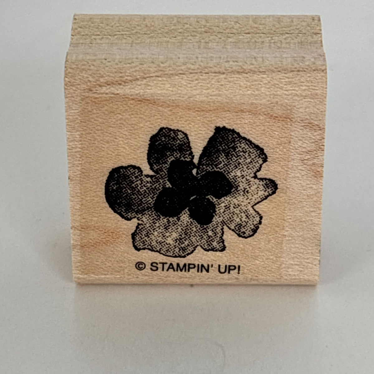 Stampin Up Rubber Stamps Set Botanical Blooms Two-Step Spring Flower Garden Leaf Friendship Cardmaking
