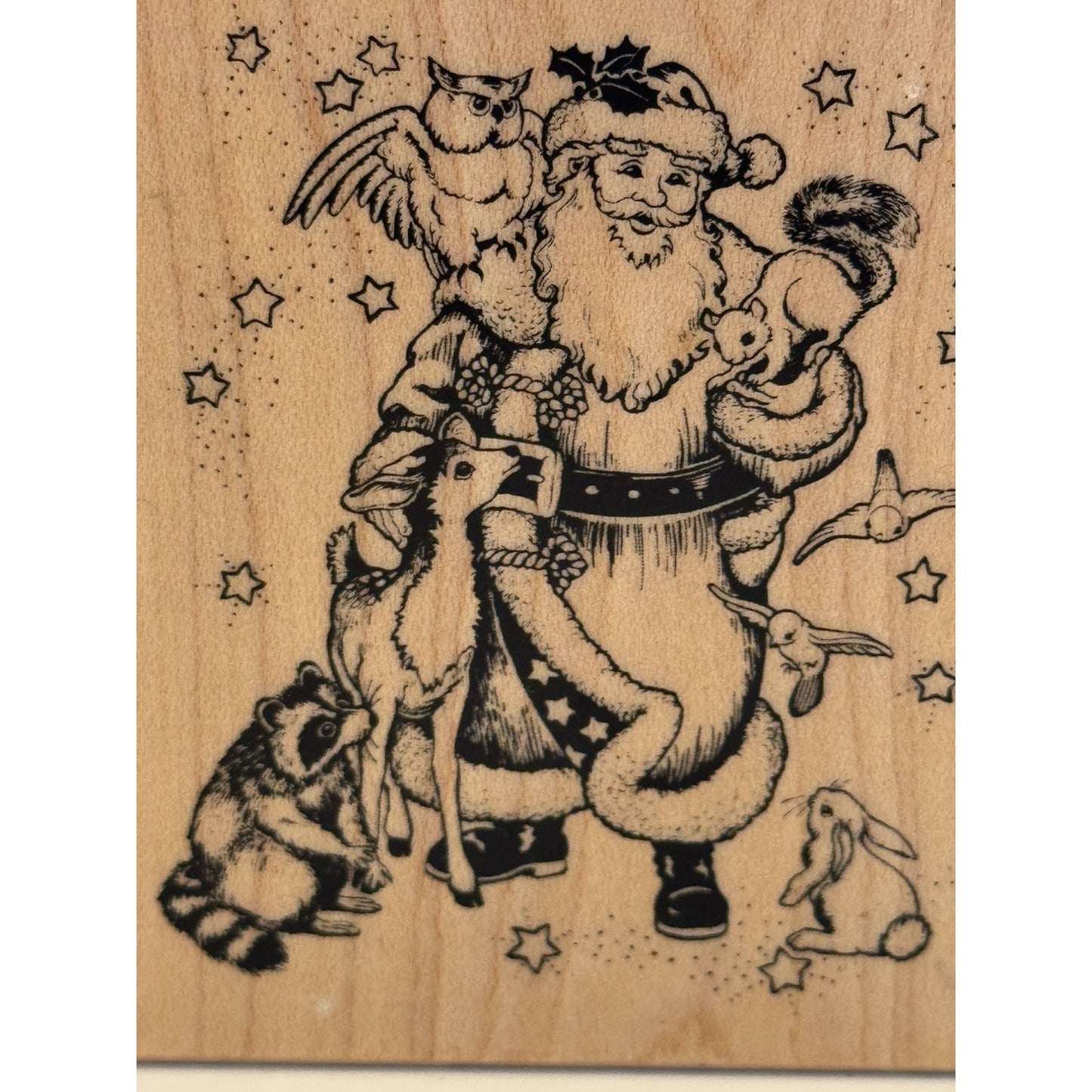 PSX Rubber Stamp Santa Claus and Friends Woodland Animals Raccoon Owl Squirrel