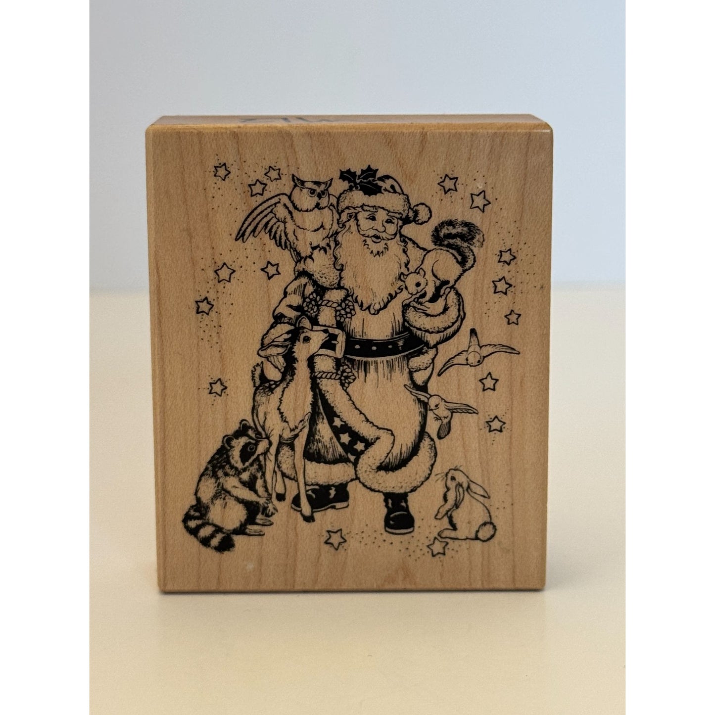 PSX Rubber Stamp Santa Claus and Friends Woodland Animals Raccoon Owl Squirrel
