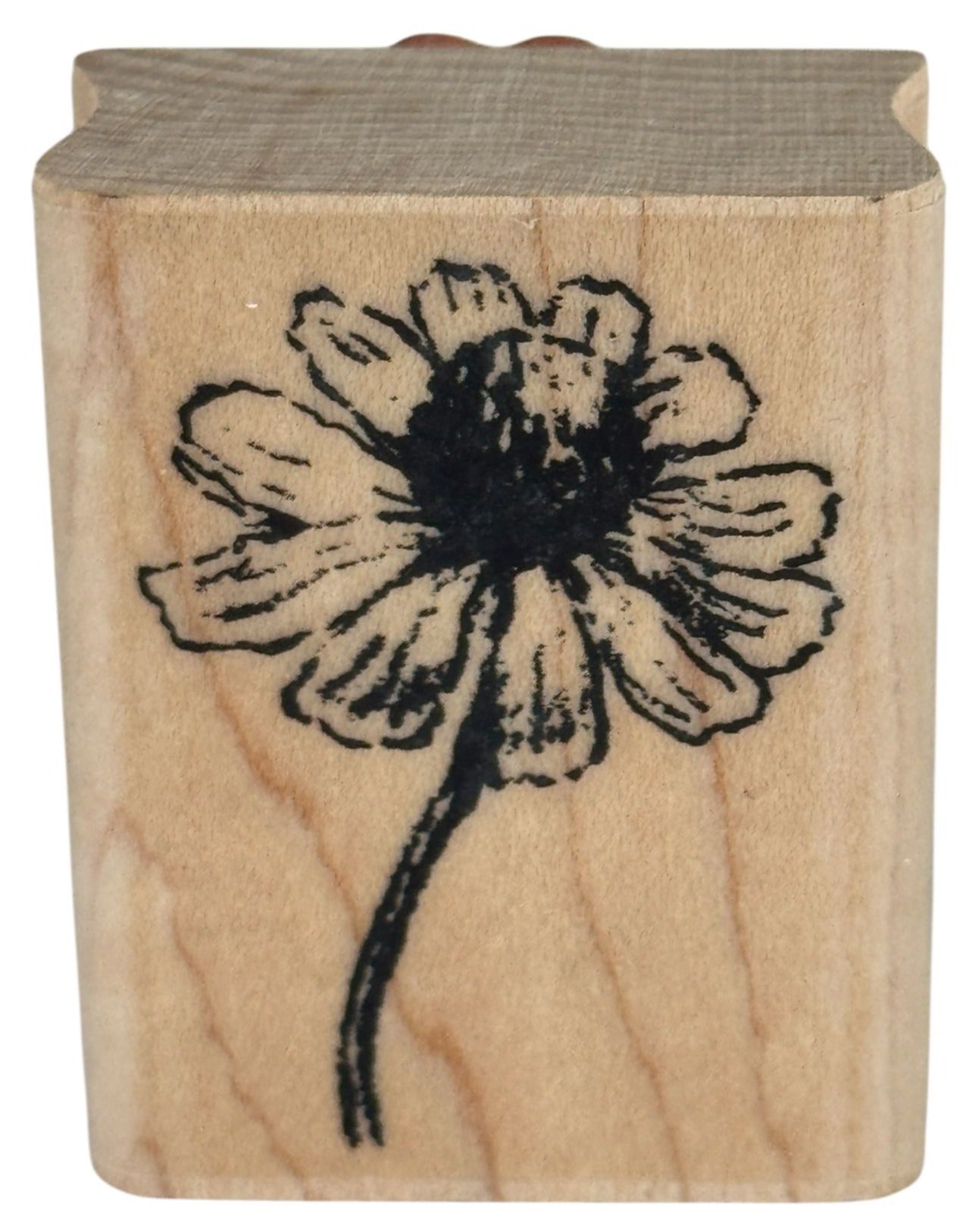 Kodomo Rubber Stamp Chamomile Flower on Stem Spring Garden Card Making Wooden