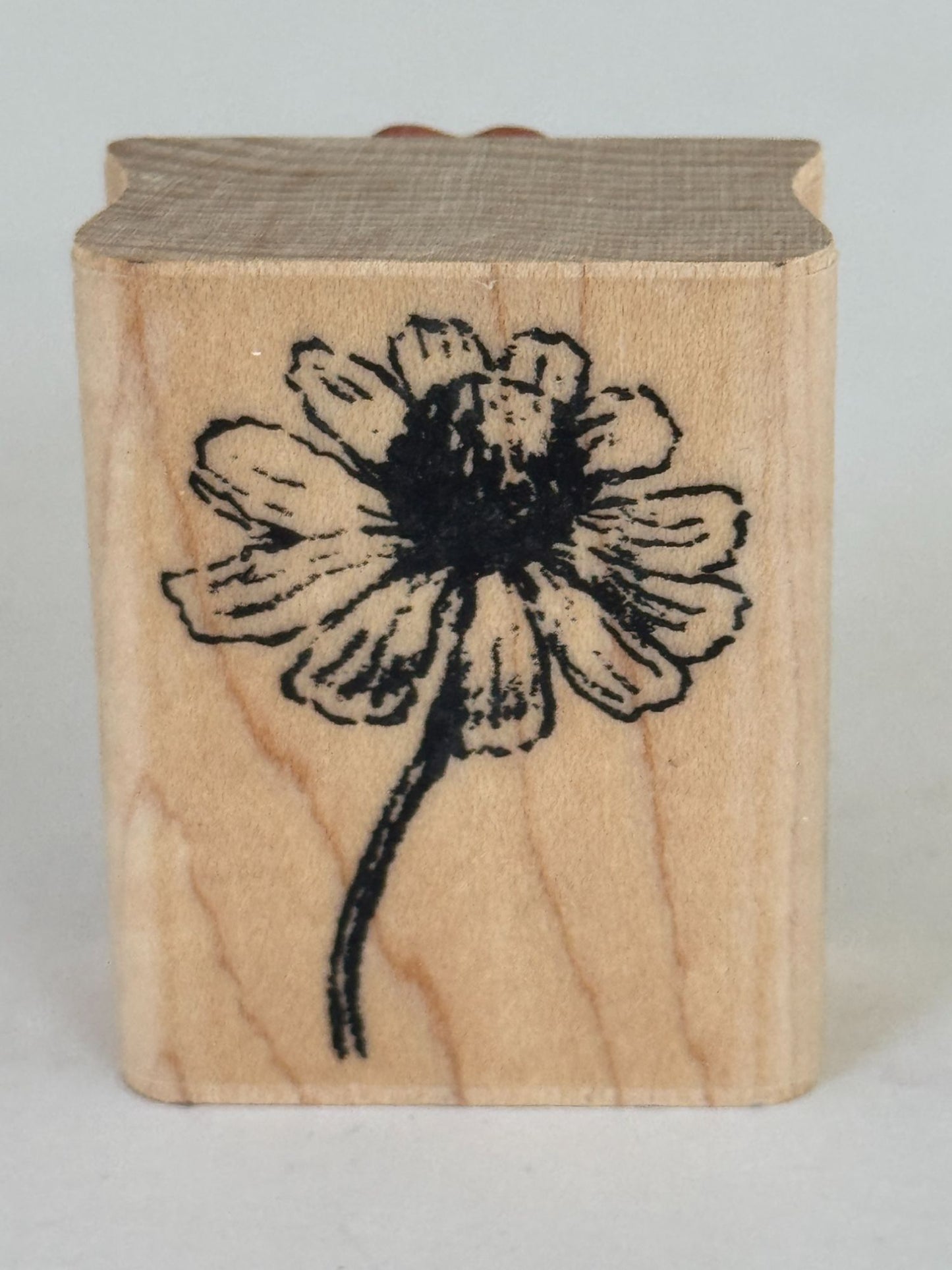 Kodomo Rubber Stamp Chamomile Flower on Stem Spring Garden Card Making Wooden