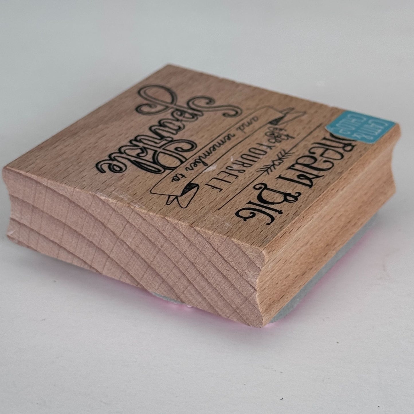 Cam and Chloe Rubber Stamp Dream Big Be Yourself Remember to Sparkle Inspirational Words