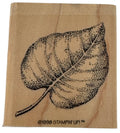 Stampin Up Rubber Stamp Fern Leaf Fall Foliage Nature Outdoors Card Making Craft