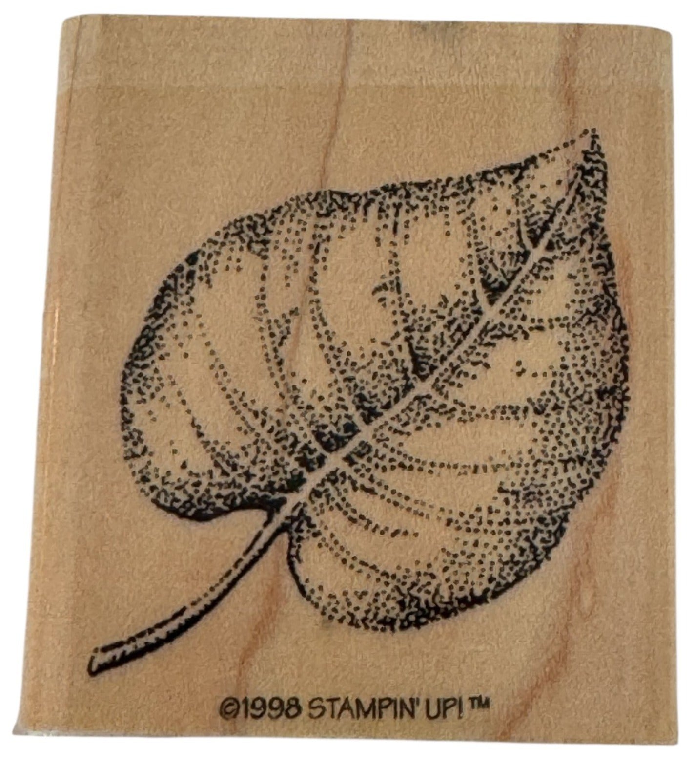 Stampin Up Rubber Stamp Fern Leaf Fall Foliage Nature Outdoors Card Making Craft