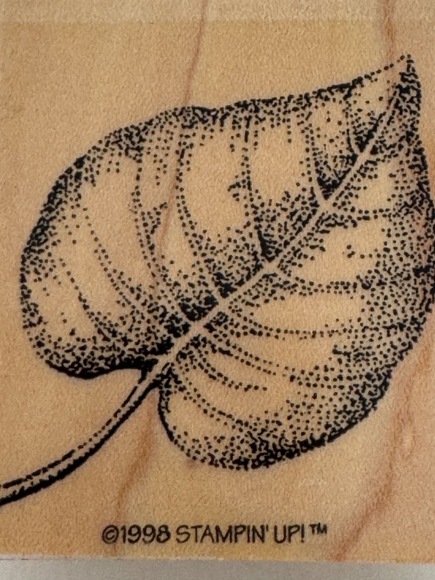 Stampin Up Rubber Stamp Fern Leaf Fall Foliage Nature Outdoors Card Making Craft